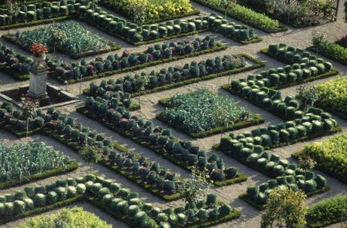 Château et jardins de Villandry