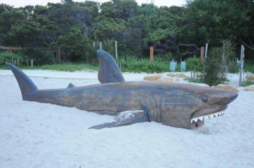 Jeux d'enfants à Anglesea