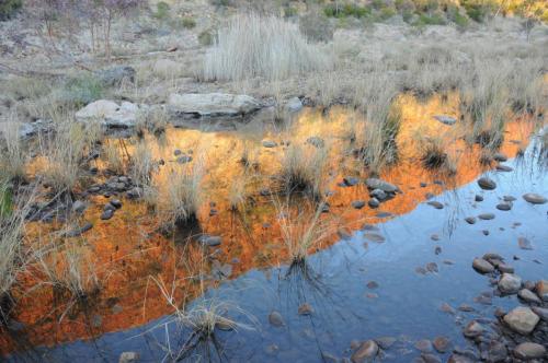 Lever de soleil sur la gorge de Glen Ellen