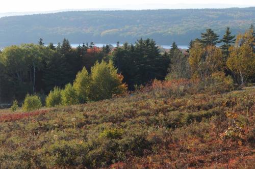 Deer Isle