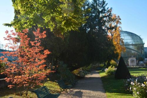 Serres d'Auteuil