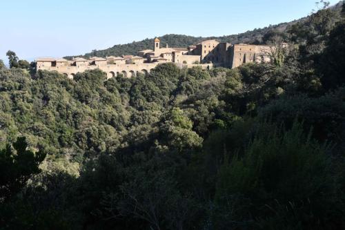 Chartreuse de la Verne (Collobrières)