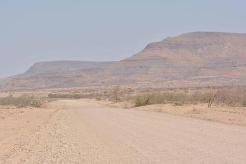 Sur la C39 entre Khorixas et  Petrified forest