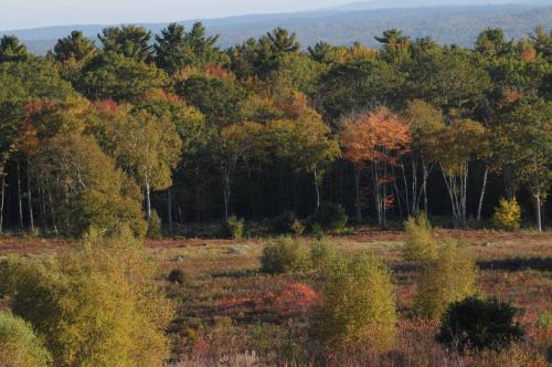 Deer Isle