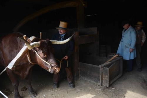 Ecomusée de Old Sturbridge