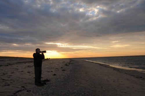 Sur la plage de Cap cod