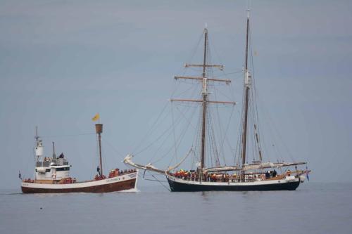 Bateaux d'observation de baleines