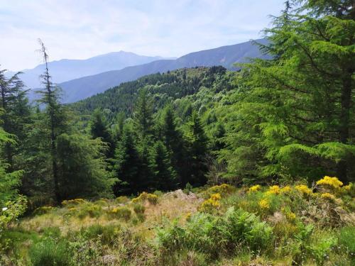 au dessus de Nohèdes