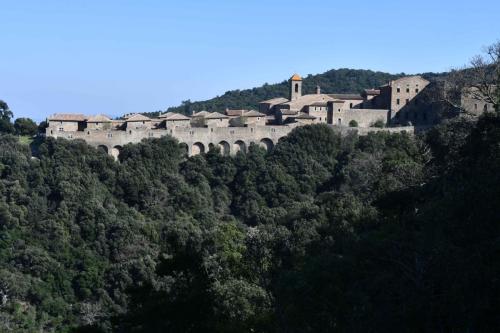 Chartreuse de la Verne (Collobrières)