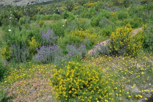 Parc national de Monfrague