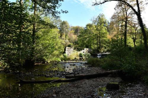 Cascades du Hérisson,  moulin Jeunet
