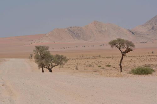 Sur la C14 en direction de Solitaire
