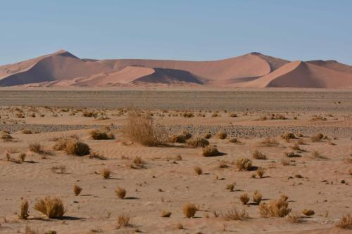 Dunes de Sossusvlei