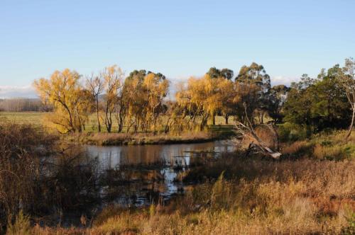 Marais de Jerrabomberra