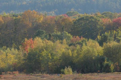 Deer Isle