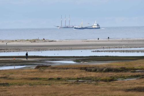 De Slufter, mer du Nord