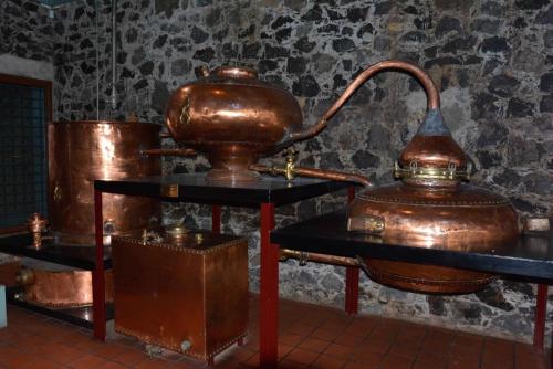 Musée du Rhum Saint-James