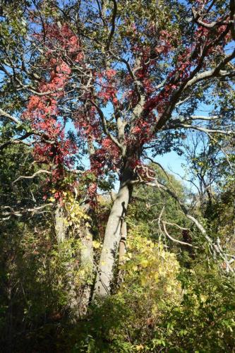 Parker river national wildlife refuge