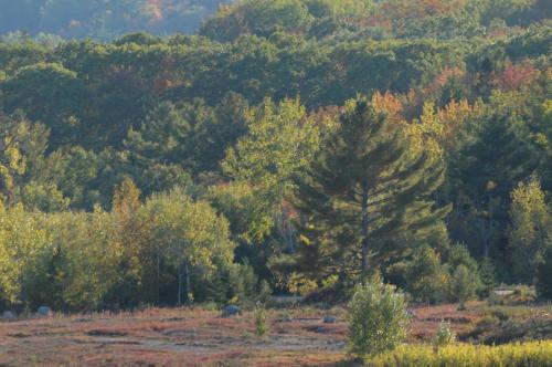Deer Isle