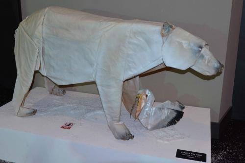 Ours polaire, carré de 7m x 7m, 102 plis