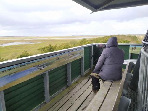 Un ornitho courageux mais bien équipé, vent fort et pluie.