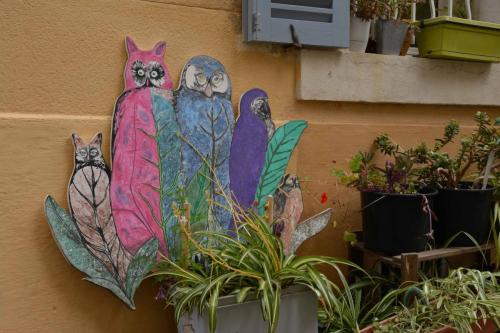 Quartier du Panier, 2 ème arrondissement