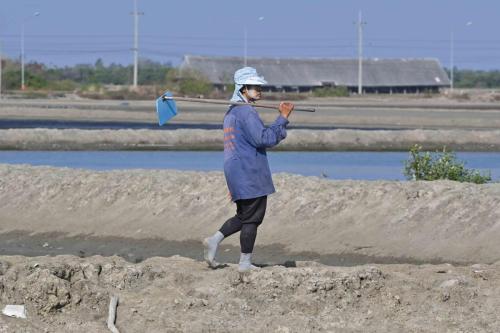 Pak Thale Nature Reserve