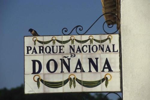 Parc national de Doñana