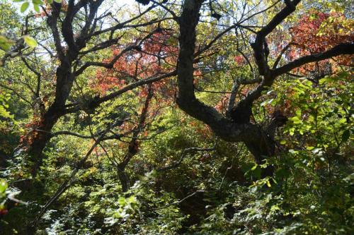 Parker river national wildlife refuge