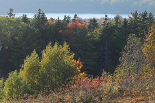 Deer Isle