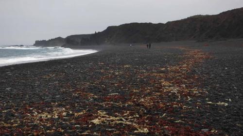 Plage de Djupalon