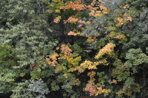 Près du Monastère Alexandre-Nevsky