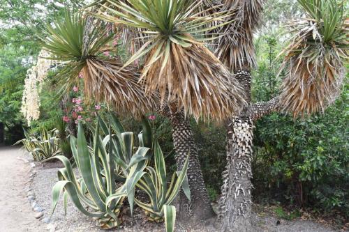 Jardin exotique de Ponteilla