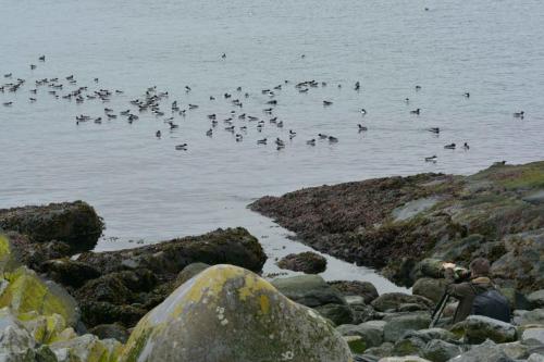 Photographe en action