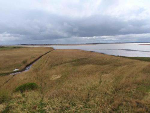 Réserve de Tipperne