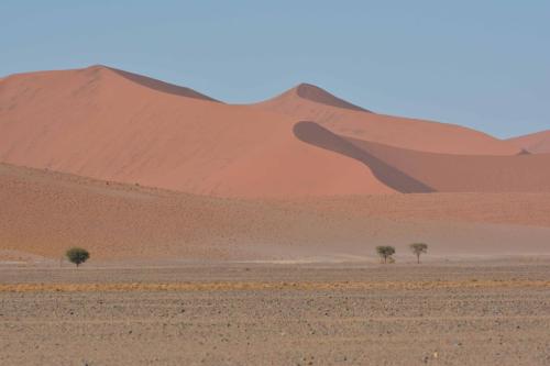 Dunes de Sossusvlei