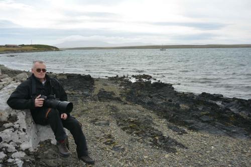 Dans l'attente des Pétrels géants