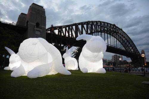 Festival Vivid Sydney 2014 - Lapins au pied de Harbour Bridge