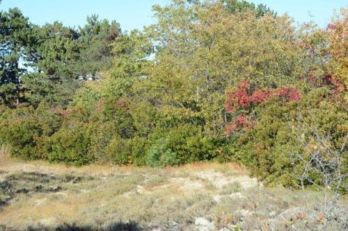Parker river national wildlife refuge