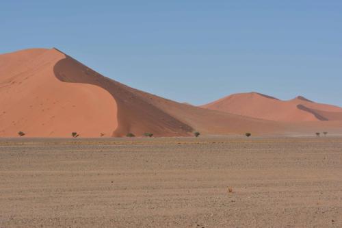 Dunes de Sossusvlei