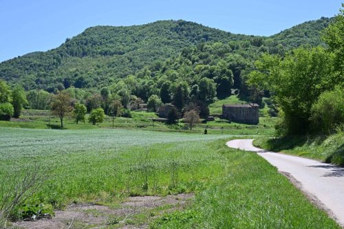 Près de Sant Miquel Sacot