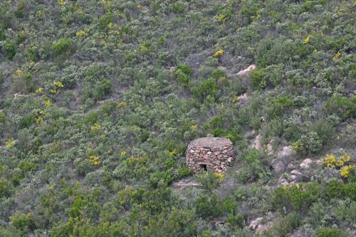 Serra del Coll