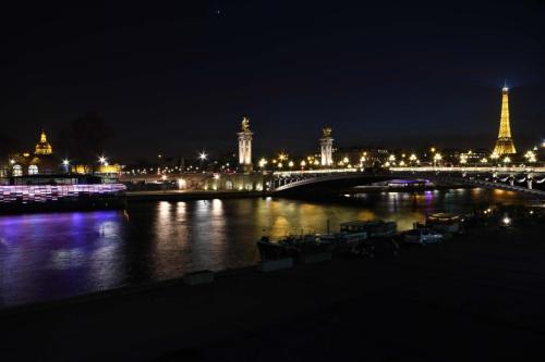 Pont Alexandre III - Tour Eiffel - 27 décembre 2016