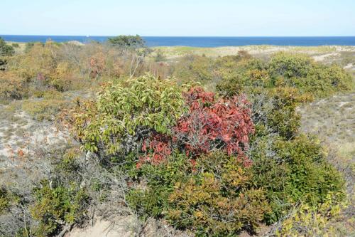 Parker river national wildlife refuge