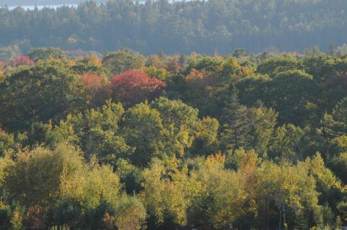 Deer Isle
