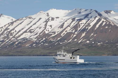 Bateau repartant pour l'ile de Hrisey