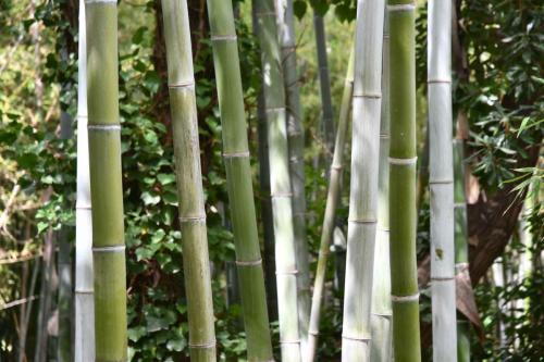 Jardin exotique de Ponteilla