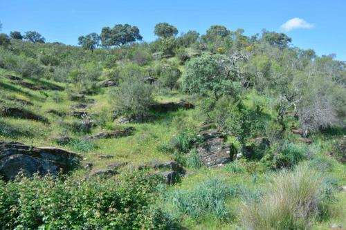 Parc national de Monfrague
