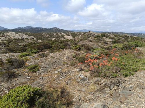 Cap Creus
