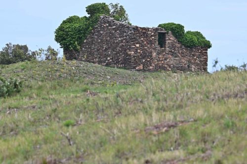 Serra del Coll